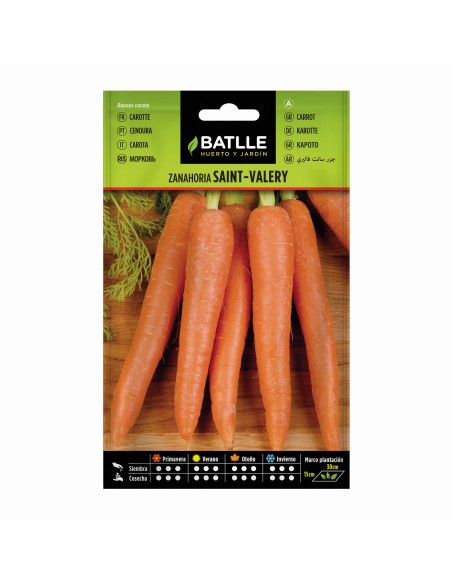 Semillas Zanahoria Saint Valery Batlle  Cultiva Zanahorias Dulces y Crujientes | Endanea Garden

