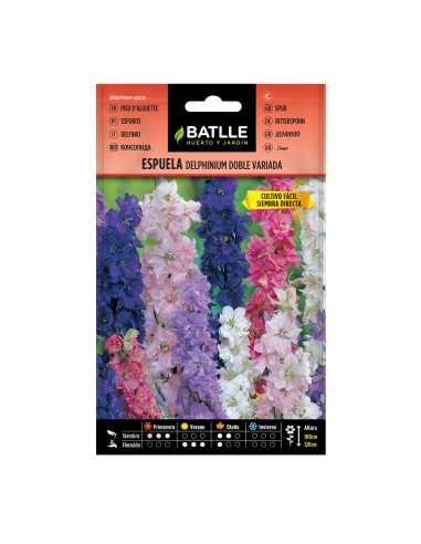 Semilla Gypsophila Elegante Blanca Batlle  Flores Blancas Sofisticadas para Jardín | Endanea Garden

