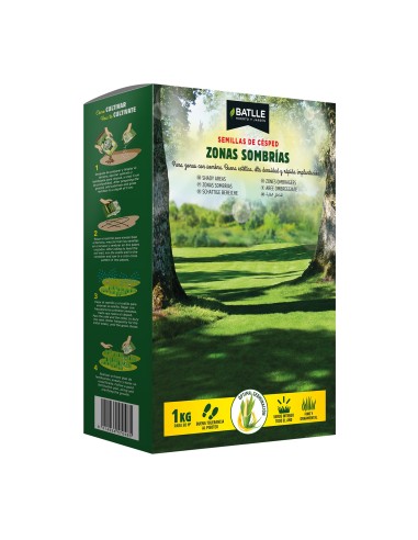 Semilla de Césped para Zonas Sombrías 1kg | Endanea Garden  Césped Verde y Resistente en Sombra

