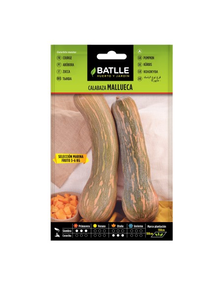 Semilla Calabaza Mallueca Batlle  Cultiva Calabazas Grandes y Sabrosas | Endanea Garden

