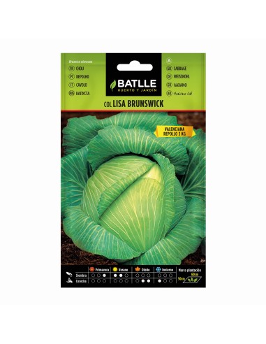Semilla Col Brunswick | Alta Germinación y Resistencia al Frío | Endanea Garden

