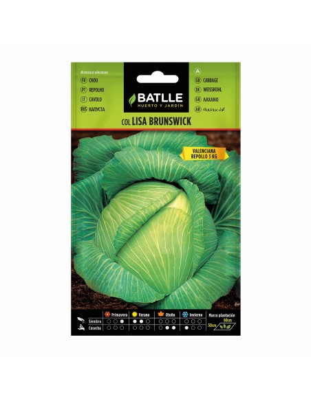 Semilla Col Brunswick | Alta Germinación y Resistencia al Frío | Endanea Garden

