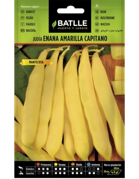 Semilla Judía Amarilla Capita 250g | Cosecha Abundante y Sabor Superior | Endanea Garden

