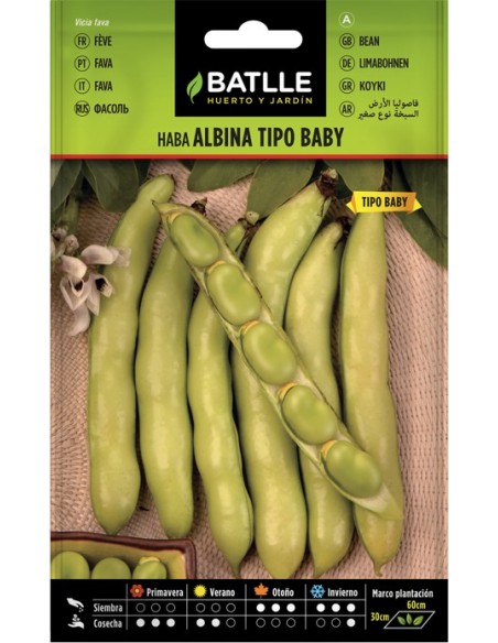 Semilla Haba Albina Tipo Baby 250g | Alta Germinación y Sabor Superior | Endanea Garden

