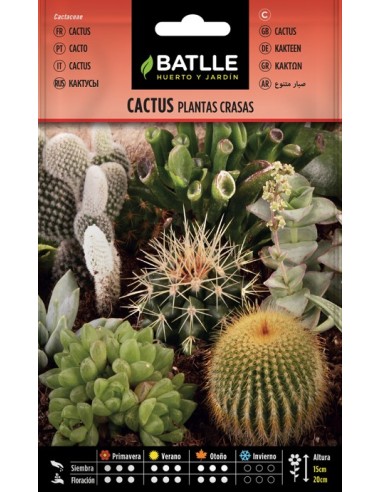 Semilla Cactus Variados PL Crasa  Mezcla de Especies Fáciles de Cultivar | Endanea Garden


