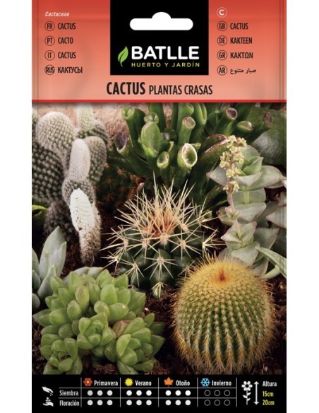 Semilla Cactus Variados PL Crasa  Mezcla de Especies Fáciles de Cultivar | Endanea Garden

