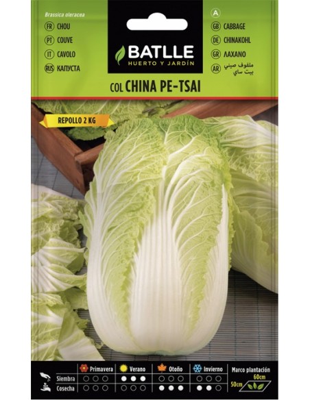 Semillas de Col China Pe-Tsai  Cultiva Fácil y Rápido en tu Huerto | Endanea Garden

