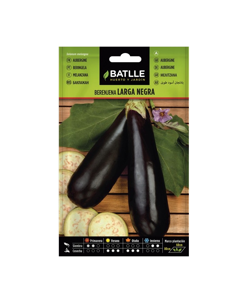 Semilla Berenjena Larga Negra  Cultiva Berenjenas Frescas y Saludables | Endanea Garden

