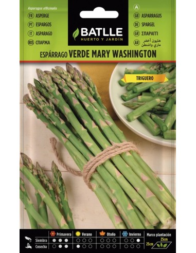 Semillas Espárrago Verde Mary Washington Batlle  Cosecha Abundante y Duradera | Endanea Garden

