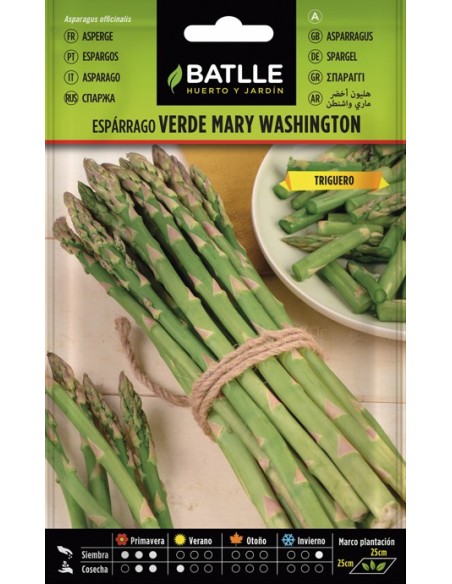 Semillas Espárrago Verde Mary Washington Batlle  Cosecha Abundante y Duradera | Endanea Garden

