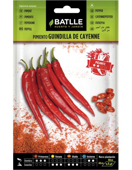 Semillas Pimiento Guindilla Cayena Rojo  Cultiva Pimientos Picantes en Casa | Endanea Garden

