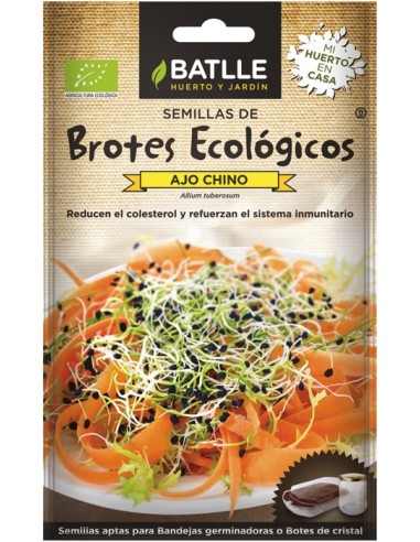 Brotes de Ajo Chino Orgánicos  Frescura y Sabor Suave | Endanea Garden

