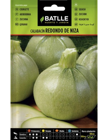 Semillas de Calabacín Rojo de Niza  Cultivo Fácil y Sabor Delicado | Endanea Garden

