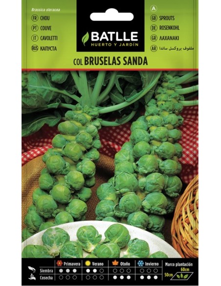 Semilla Col de Bruselas Batlle  Cosecha Abundante y Fácil | Endanea Garden

