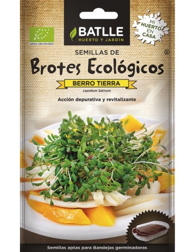 Brotes de Berro Tierra | Frescos, Nutritivos y Sabor Auténtico | Endanea Garden

