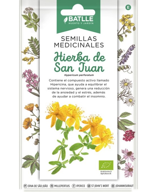 Semilla Hierba San Juan (Hypericum) Medicinal y Fácil de Cultivar | Endanea Garden

