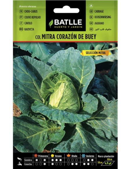 Semilla Col Mitra Corazón de Buey | Cosecha Abundante y Sabor Intenso | Endanea Garden

