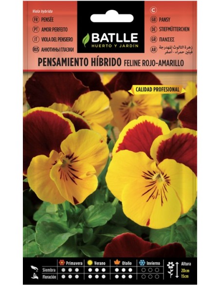 Semillas de Pensamiento Feline Rojo/Amarillo  Flores Vibrantes y Fácil Cultivo | Endanea Garden

