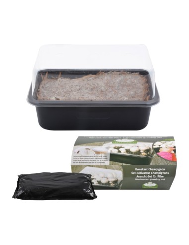 SET DE CULTIVO DE SETAS ESSCHERT