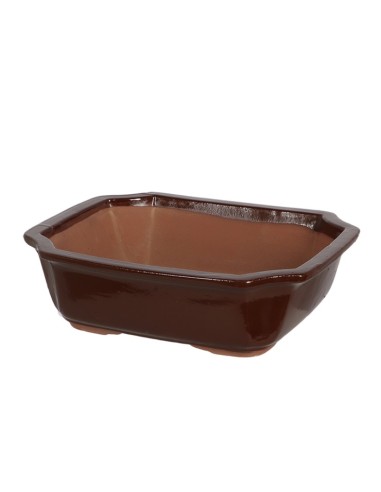 Tiesto Bonsái L de cerámica para bonsáis medianos y grandes | Endanea Garden