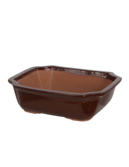 Tiesto Bonsái L de cerámica para bonsáis medianos y grandes | Endanea Garden