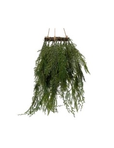 GUIRNALDA COLGANTE 20X70CM VERDE