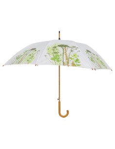 Paraguas Hierbas | Diseño Natural y Protección para los Días de Lluvia