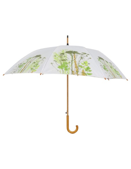 Paraguas Hierbas | Diseño Natural y Protección para los Días de Lluvia