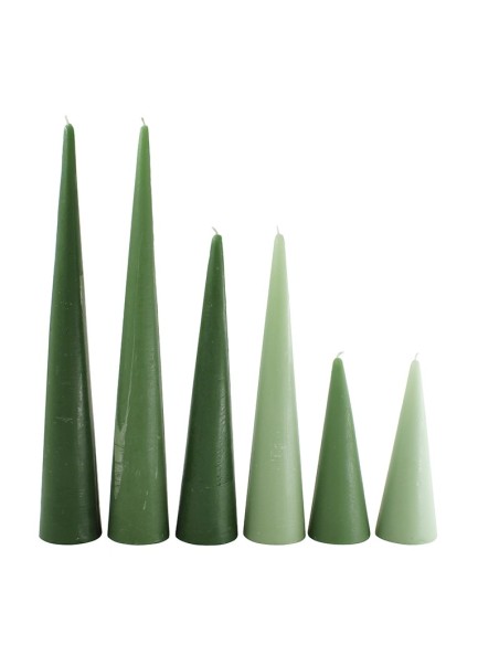 ARBOL CÓNICO PERFUMADO GAMA, CAJA DE 6