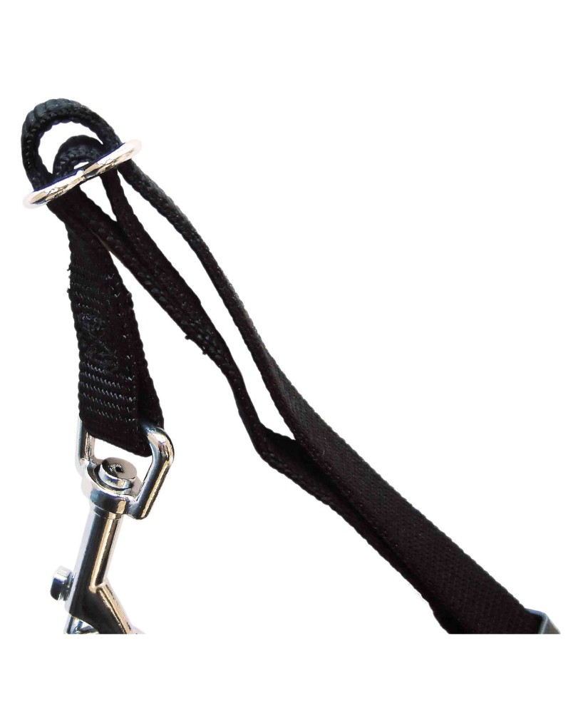 Arnés con Cinturón S 30-60 cm Endanea Mascotas para Perros Pequeños y Medianos