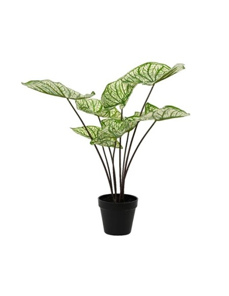 CALADIUM VEREDE ARTIFICIAL EN TIESTO 45X120CM