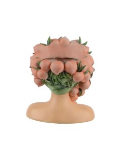 MACETA BUSTO CON MELOCOTONES 26.8X22.3X30CM 2
