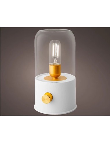 LUZ DE CAMPO LED 11X20CM