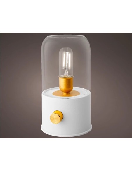 LUZ DE CAMPO LED 11X20CM