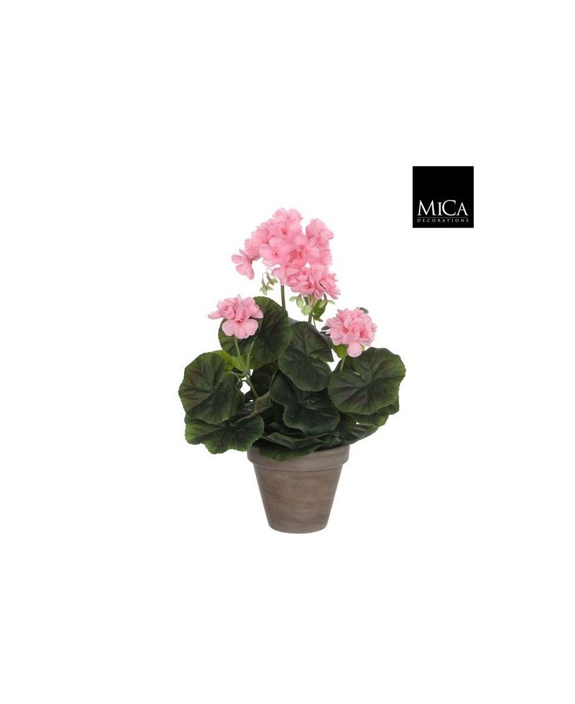 GERANIO ROSA MACETETA 11,5X34X20CM