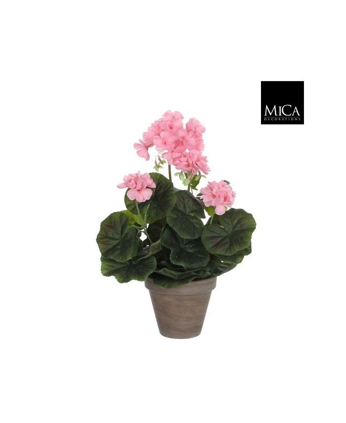 GERANIO ROSA MACETETA 11,5X34X20CM