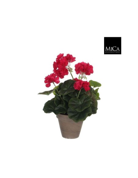 GERANIO D. ROSA EN MACETA 11.5X34X20CM