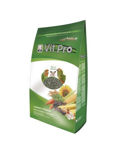 Pipas de Girasol 300gr para Mascotas Roedores y Aves Calidad Natural