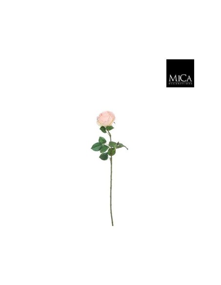 ROSA 69CM  MELOCOTON