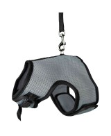 ARNES SUAVE CORREA CONEJOS GRANDE 25-40CM