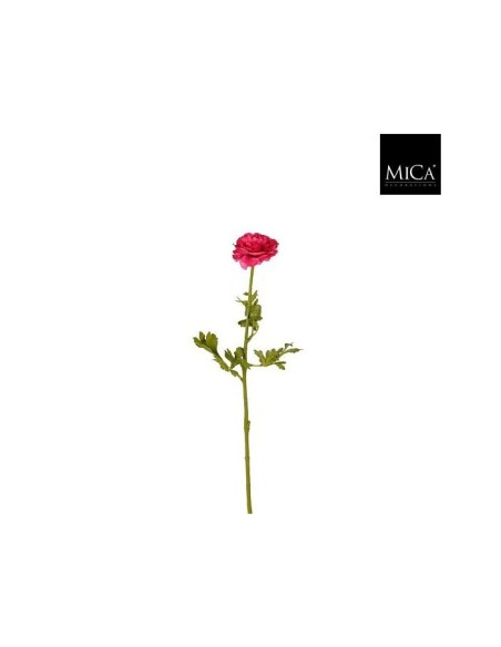 RAMA RANUNCULO 56CM  FUCSIA