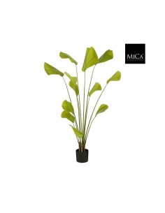 PALMERA ABANICO ARTIFICIAL 180X80CM  VERDE