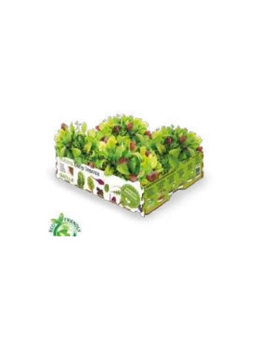 HUERTO PREMIUM  BABY LEAVES