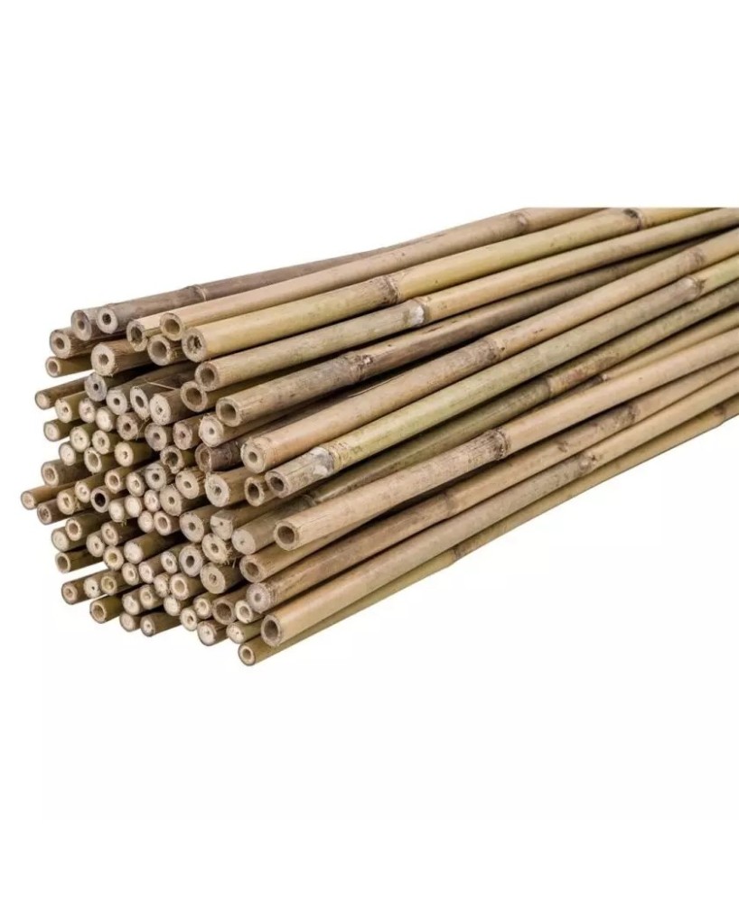 Tutor Bambú 90 cm 10/12 mm para Plantas | Soporte Ecológico Jardín - Endanea Garden

