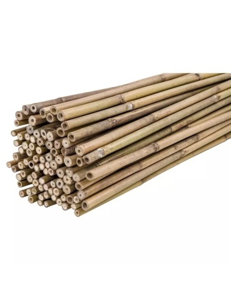 Tutor Bambú 120 cm 12/14 mm para Plantas | Soporte Natural y Ecológico - Endanea Garden

