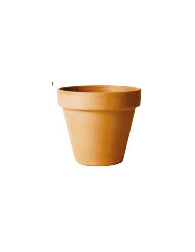 Maceta de Terracota 21CM  Rústica y Resistente para Interior y Exterior | Endanea Garden

