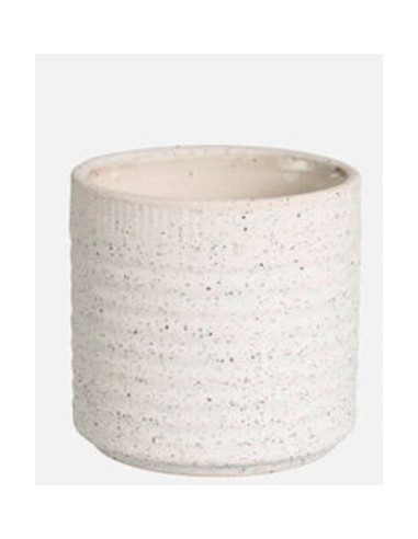 Maceta Cactus Grol Blanco 7x8 cm  Minimalista y Resistente para Suculentas

