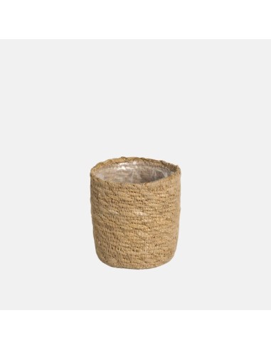 Basket Gamo Cactus Natural 9x8 cm  Maceta Rústica para Cactus y Suculentas

