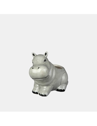 Maceta Cactus Hipo 2 Mixtos 16x10x13 cm  Ideal para Cactus y Suculentas | Endanea Garden

