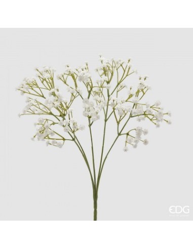 GYPSOPHILA CESPUGLIO  BLANCO